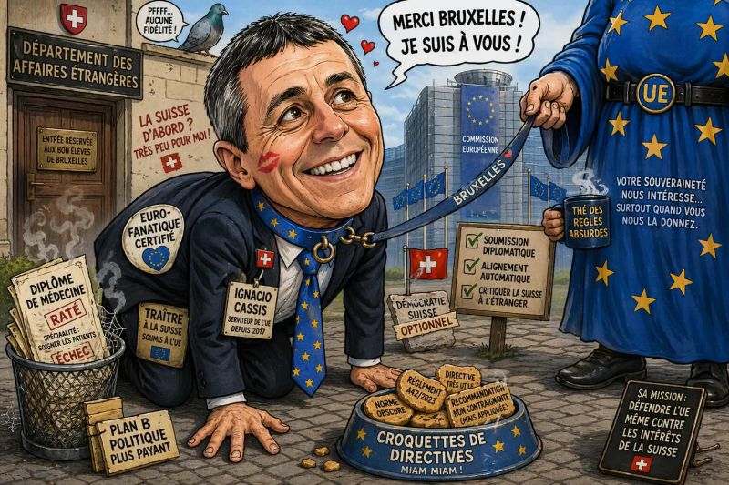 Le Petit Télégraphiste de Bruxelles : Portrait d’une Allégeance